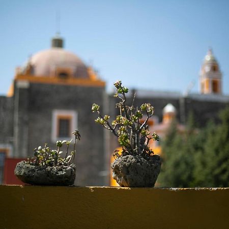 Majikal B&B - La Dona Cholula Dış mekan fotoğraf